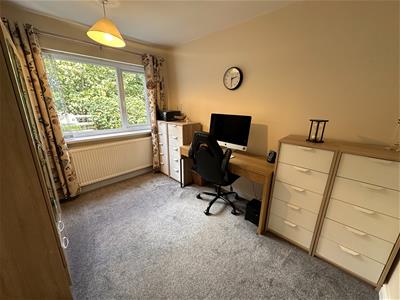 Picture 13